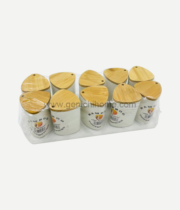 Clúdach bambú fiacla bambú